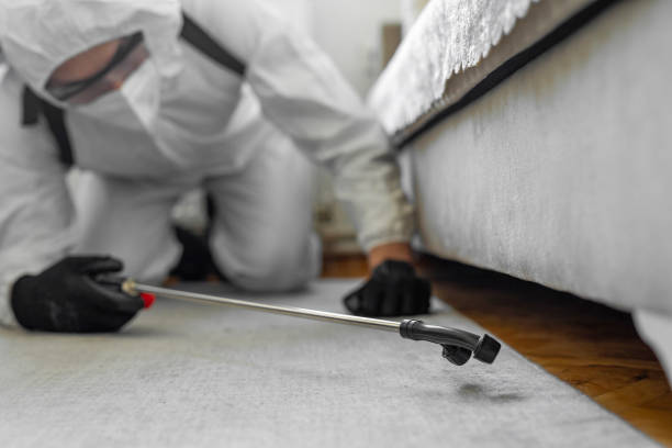Professional Pest Control technician working in National Park, NJ