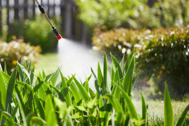 24/7 Emergency Fumigation Services experts in National Park, NJ