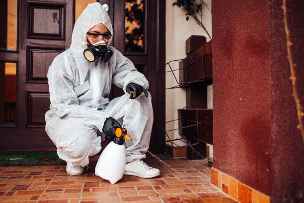 Reliable Fumigation Services contractor in National Park, NJ by Nex Pest Control