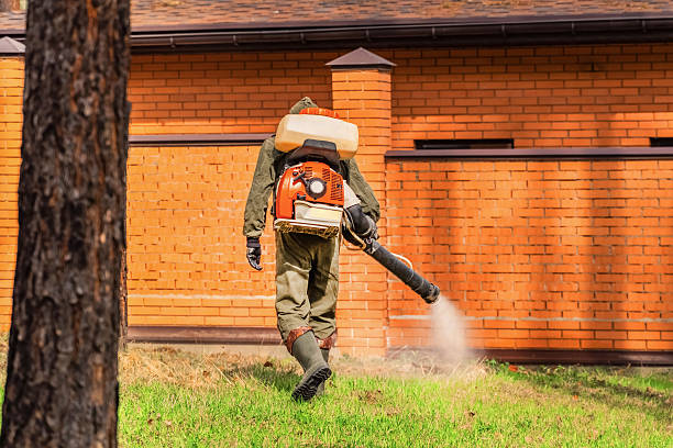 Trusted Fumigation Services service in National Park, NJ - Nex Pest Control